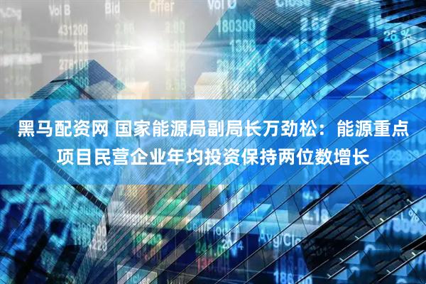 黑马配资网 国家能源局副局长万劲松：能源重点项目民营企业年均投资保持两位数增长
