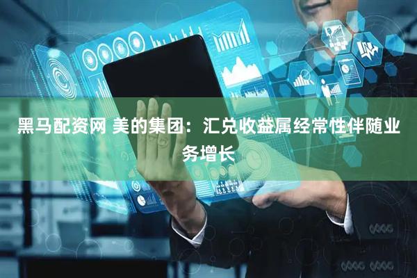 黑马配资网 美的集团：汇兑收益属经常性伴随业务增长
